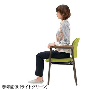 立ち上がり補助いす 立介 CW01KK-MXの説明