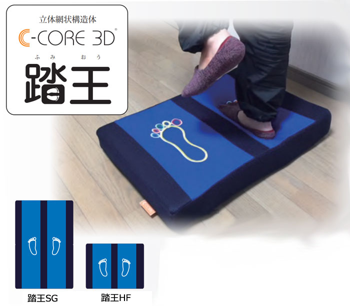 体幹トレーニング 踏王